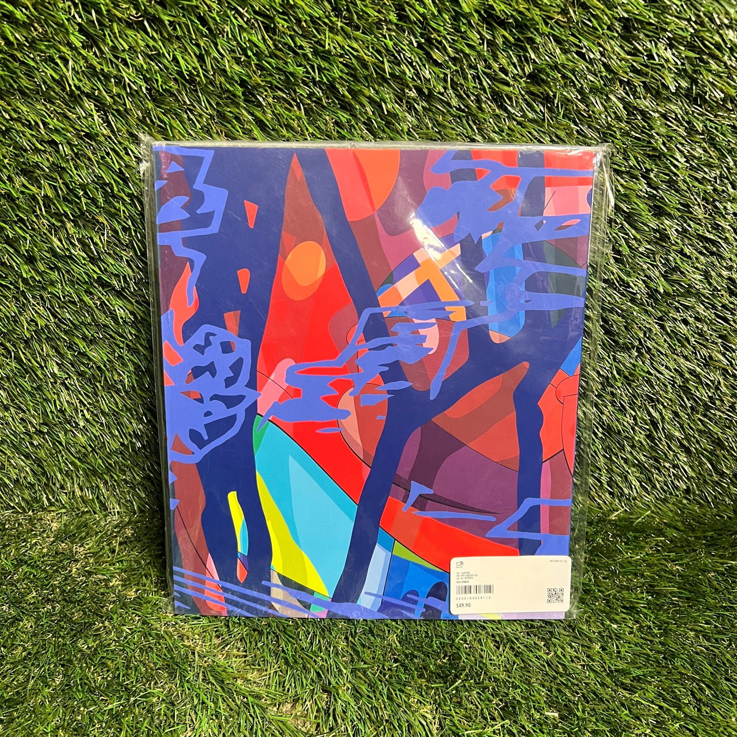 Kaws Moma Phaidon Booklet NEW x8982