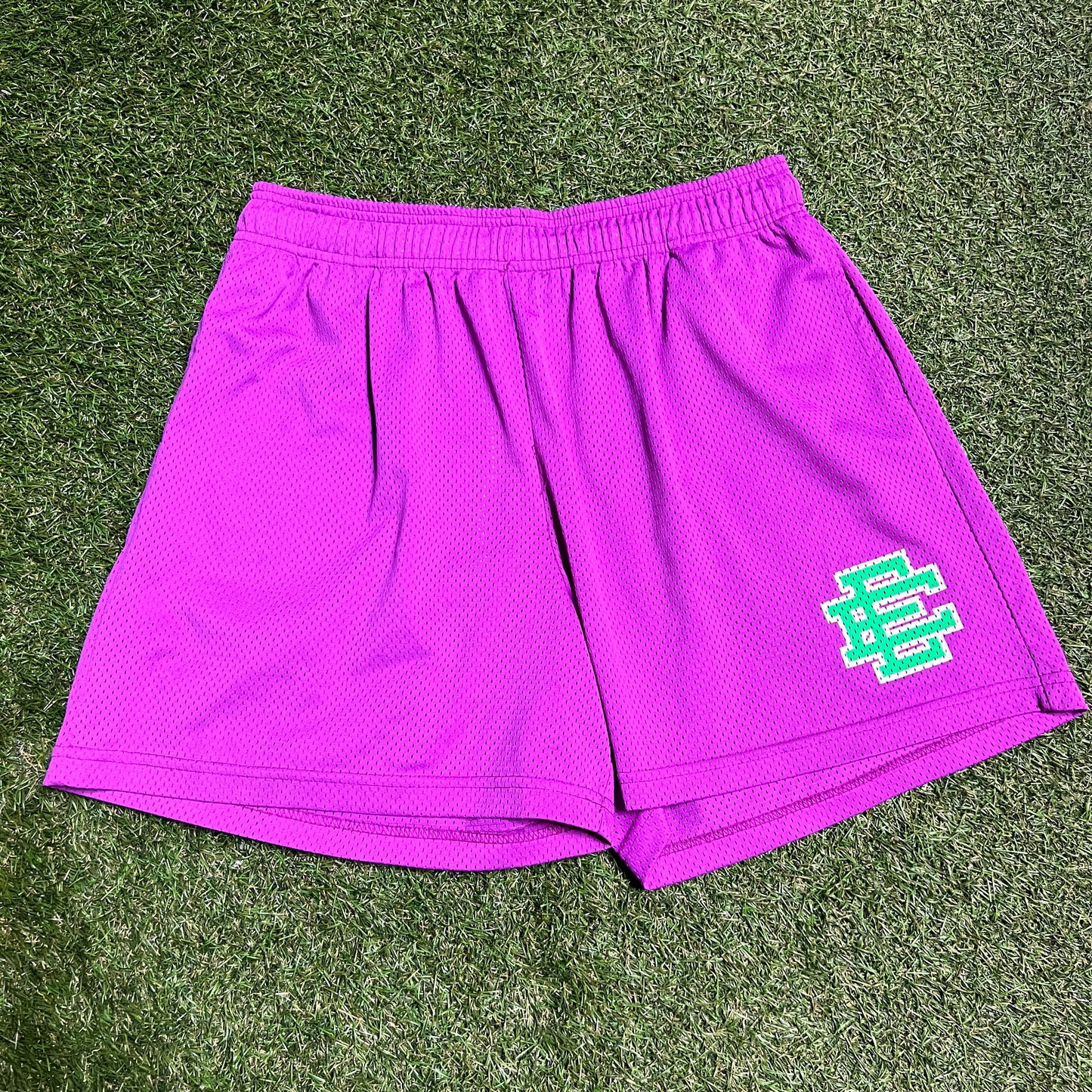 Eric Emanuel Green Logo Purple Shorts Size XXL USED x10993