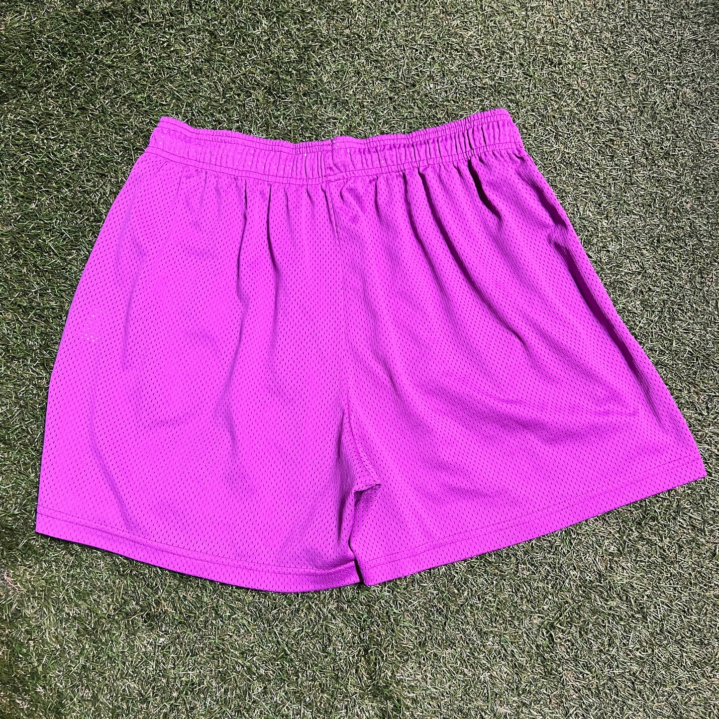 Eric Emanuel Green Logo Purple Shorts Size XXL USED x10993