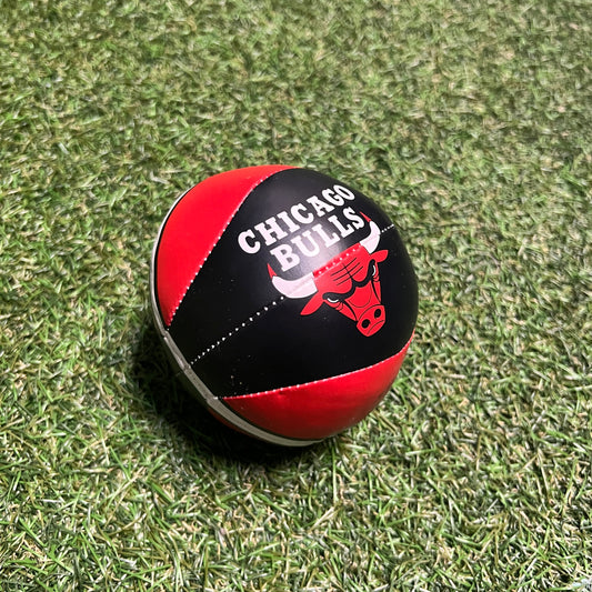 1990's Chicago Bulls Mini Ball USED v13813